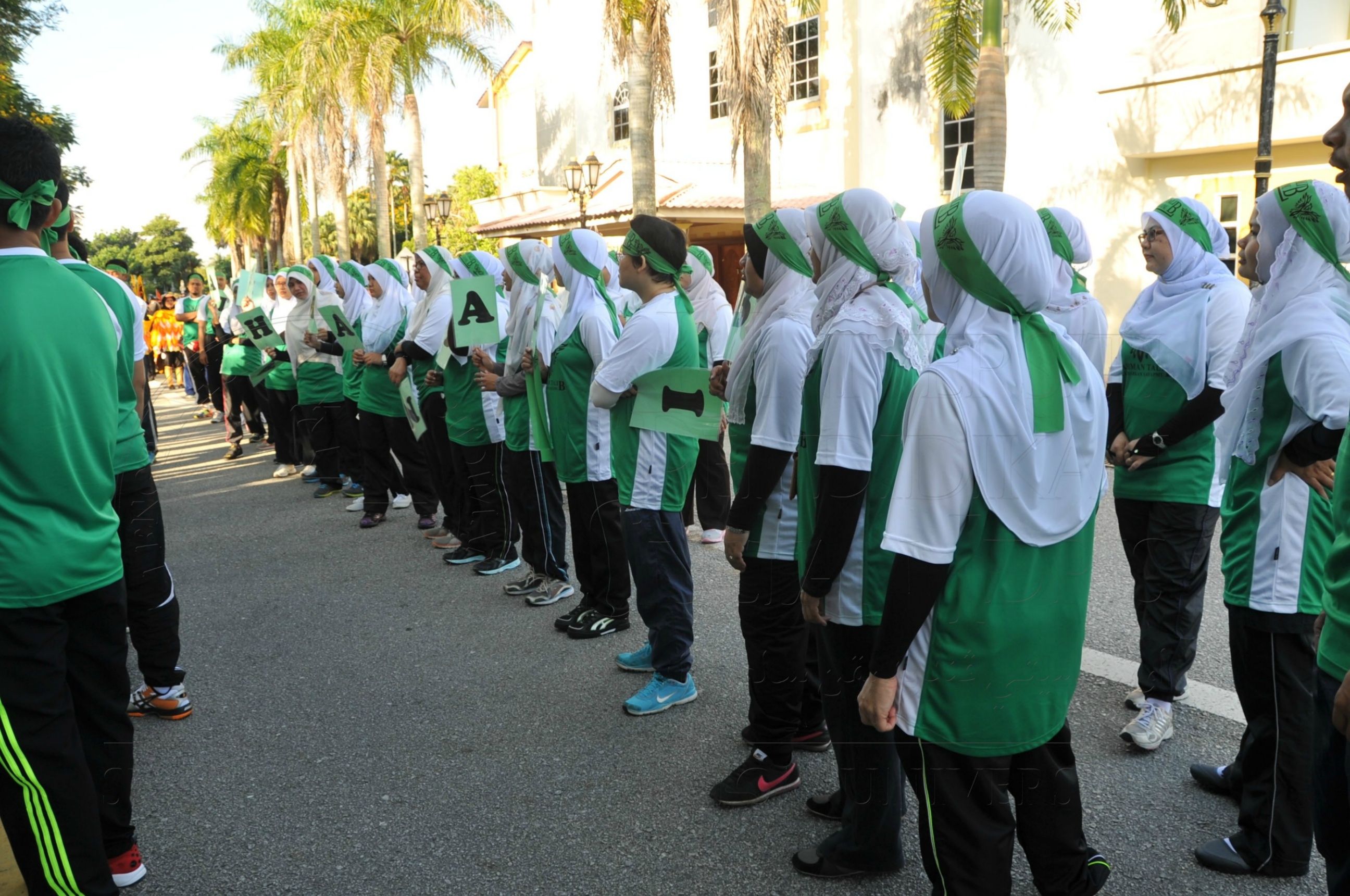 PRO 15 53 KIESTA HAS 3454